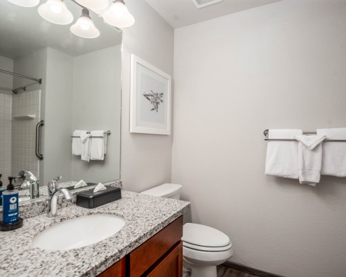 WorldMark Yosemite Bass Lake (Northshore II units) - 4 Nights