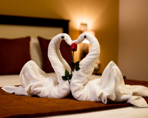 Two towels shaped as swan placed in a bed.