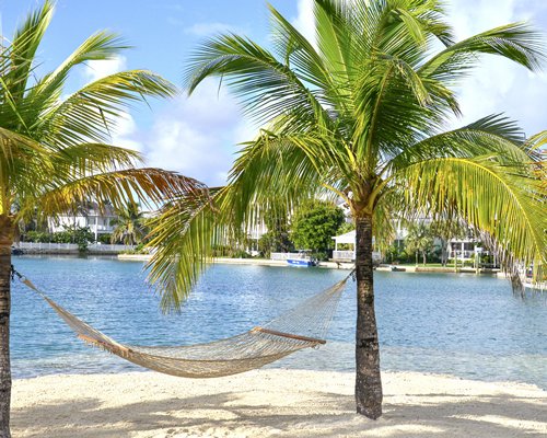 A hammock alongside the beach.