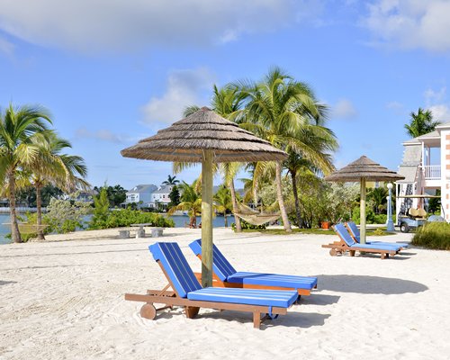 A beach view of chaise lounge chairs with thatched sunshades surrounded by trees.