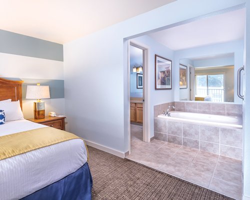 A well furnished bedroom with a bathtub.