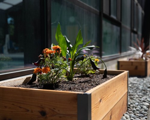 WorldMark Discovery Bay - 3 Nights