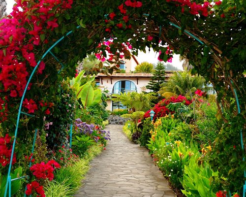 An exterior view with flowers and landscaping.