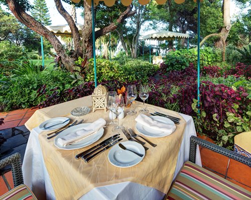 An outdoor dining table place setting with garden view.