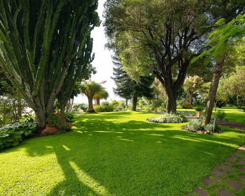 An exterior view of lush yard and landscaping.