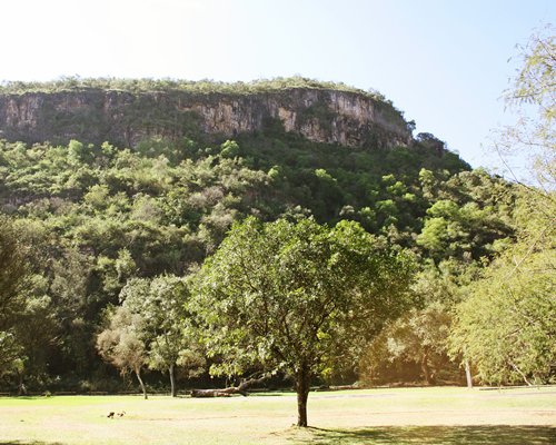View of wooded area alongside a mountain.