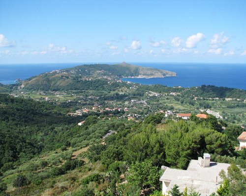 An aerial view of the resort surrounded by wooded area.
