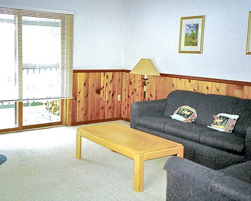 A well furnished living room with double pull out sofa.