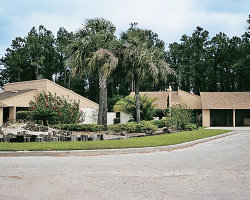 Scenic street view of multiple condos surrounded by wooded area.