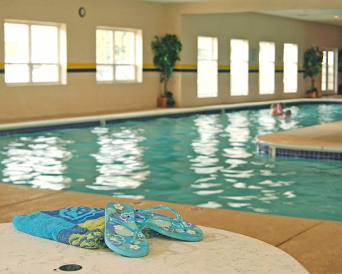 Indoor swimming pool with outside view.