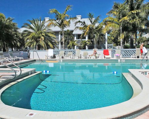Outdoor swimming pool with chaise lounge chairs and palm trees.