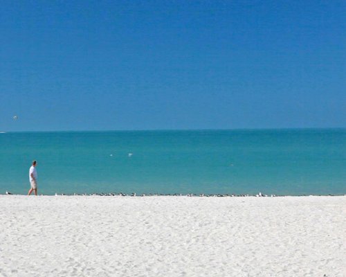 A view of the beach.