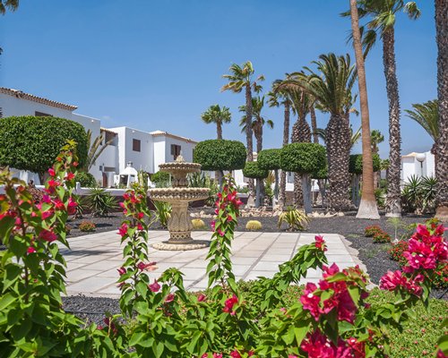 Royal Tenerife Country Club