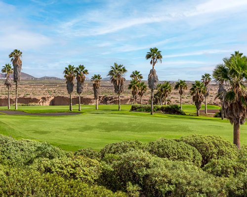Royal Tenerife Country  - 4 Nights