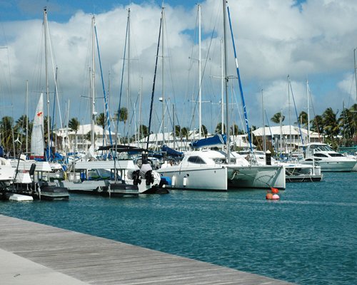 A marina filled with sailboats.