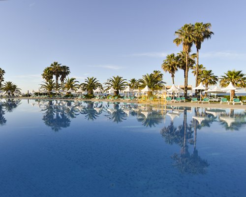 Large outdoor swimming pool with sunshades chaise lounge chairs and palm trees.