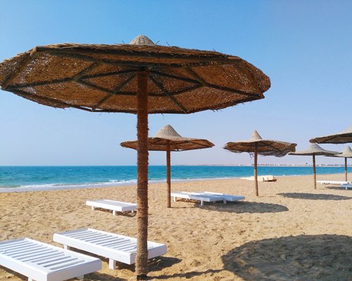 A view of beach front umbrellas and chaise lounge benches on Red Sea.