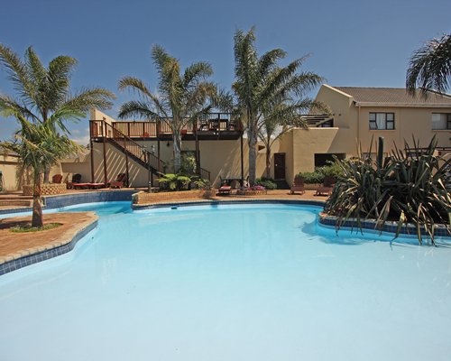 An outdoor swimming pool with palm trees.