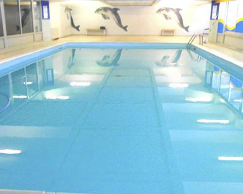 Indoor swimming pool.