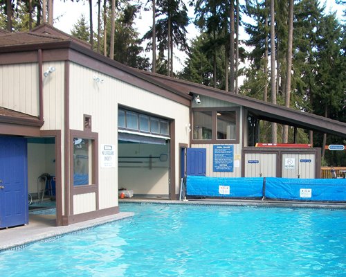 An outdoor swimming pool alongside a wooded area.