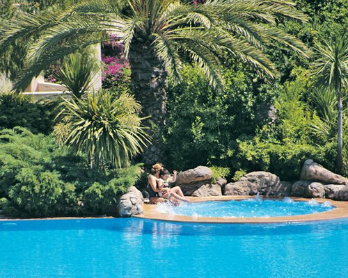 An outdoor swimming pool with a hot tub and landscaping.