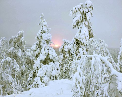 Vuokatti Country Club