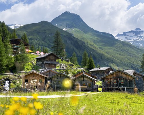 Hotel Goldried/Goldried Park Image