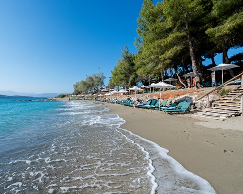 A view of the waterfront alongside chaise lounge chairs with thatched sunshades.
