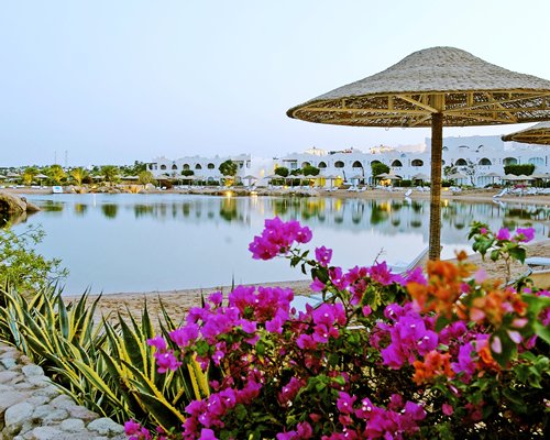 View of the beach with thatched sunshades and landscaping.