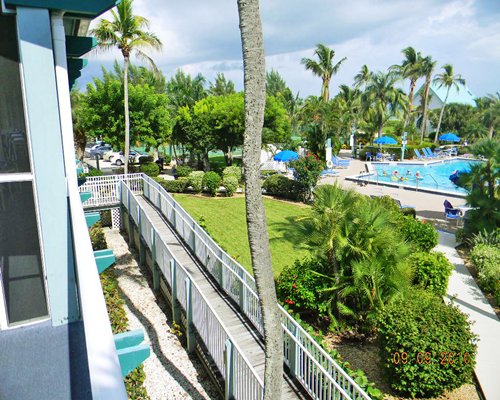 A balcony view of a swimming pool alongside landscaping.