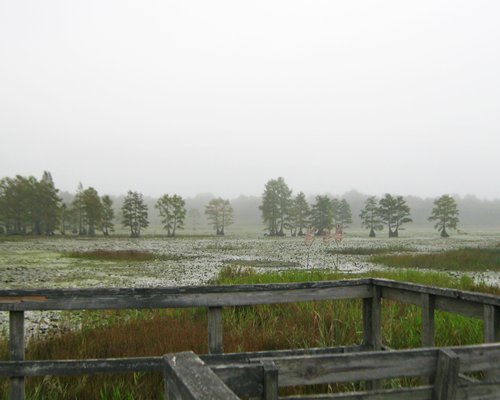 Hillcrest Lake Villas