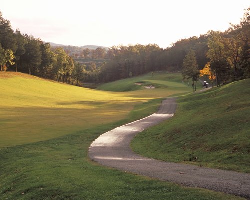 A pathway leading to the golf course in a wooded area.