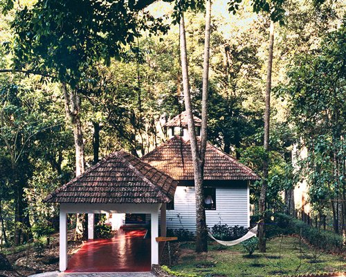The Tall Trees, Munnar