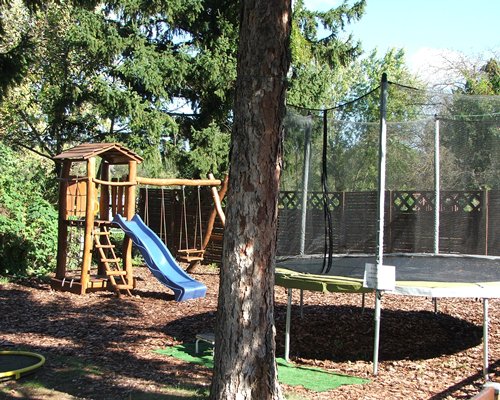 Kids playscape surrounded by wooded area.