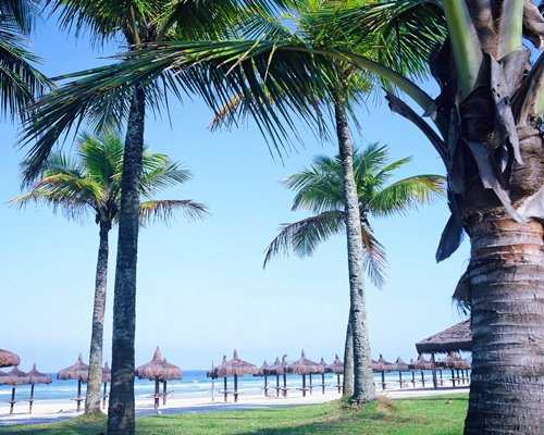 A scenic view of the ocean with thatched sunshades.