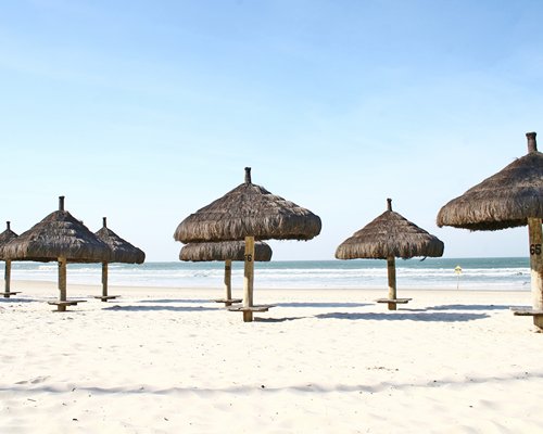 A beach view of thatched sunshades alongside the ocean.