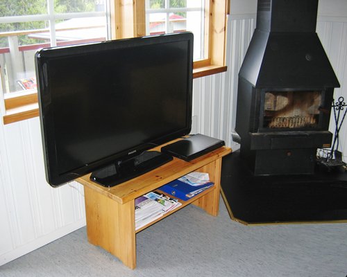 A well furnished living room with a fireplace and television.