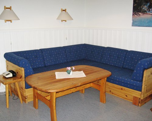 A furnished living room with sofa.