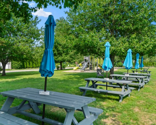 Sea Mist Resort of Maine