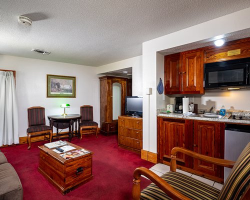A well furnished living room with double pull out sofa with an outside view.