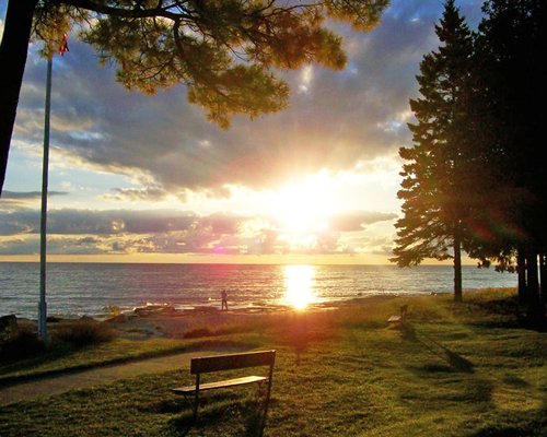 Scenic picnic area alongside beach and lake.