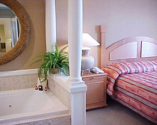 A bedroom with bathtub.