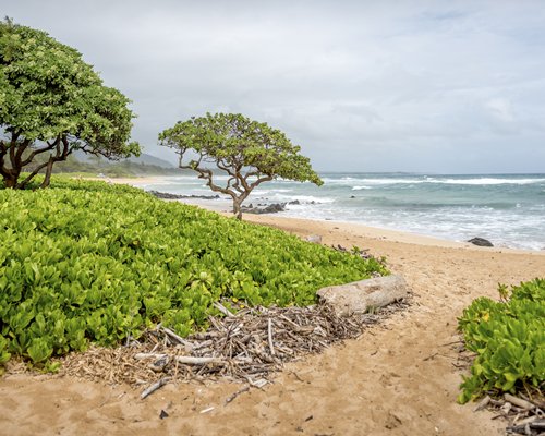 Kauai Beach Villas