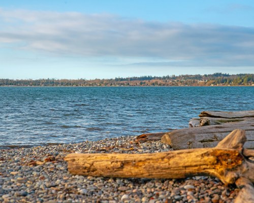 WorldMark Birch Bay - 4 Nights