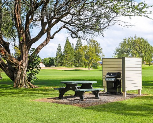 Club Wyndham Paniolo Greens