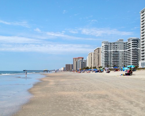 Image Description to Come