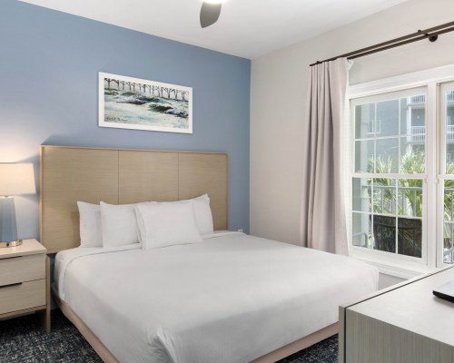 Image Description to Come