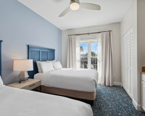 Image Description to Come