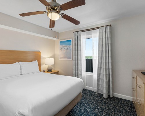 Image Description to Come