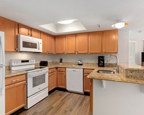 Image Description to Come